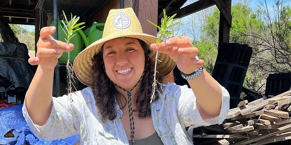 18,000 Milkweed Given in 2024, thanks to The Challenge Cost Share Grant