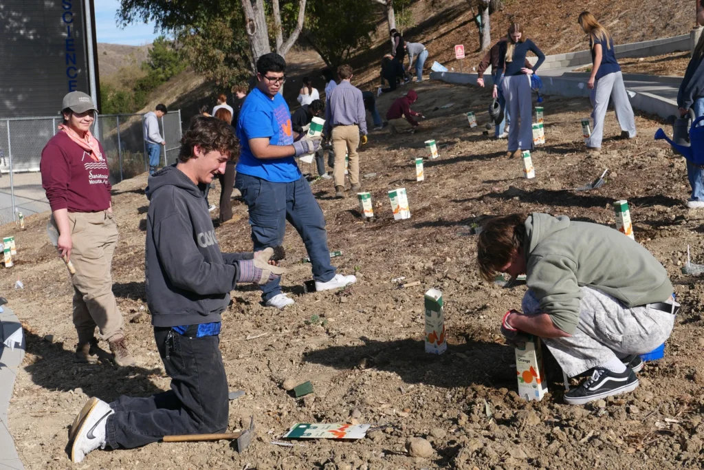 Navigating the trail forward