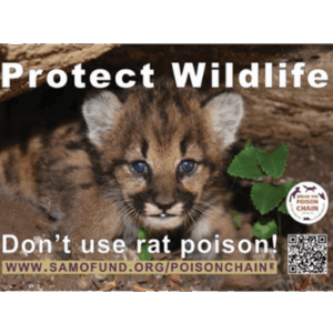Wildlife conservation message featuring a close-up of a young animal