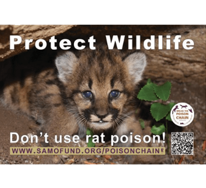 Wildlife conservation message featuring a close-up of a young animal