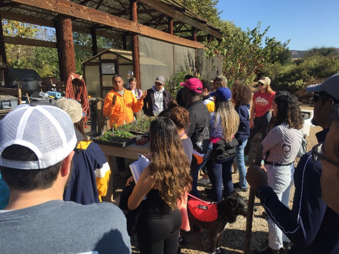 A group of diverse participants gathers around a table at a garden workshop