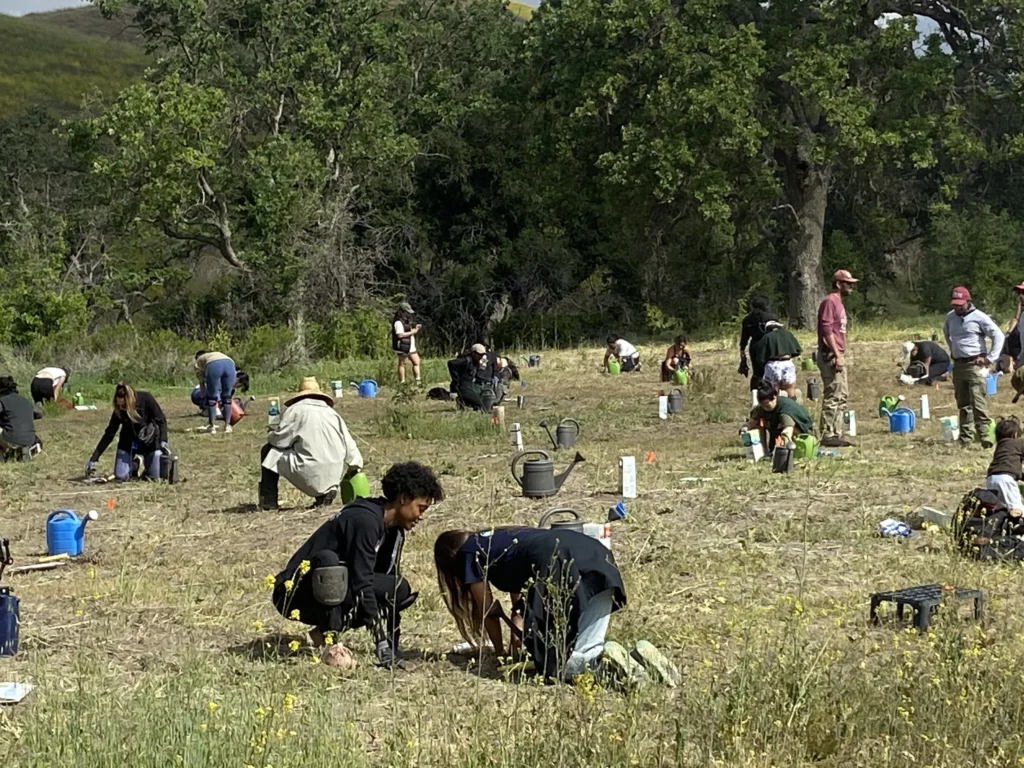 Volunteers actively planting trees in a green field, surrounded by tools and watering cans, emphasizing community engagement in environmental restoration.