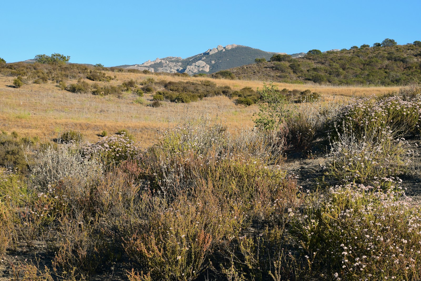 green grass field near mountain under blue sky during daytime